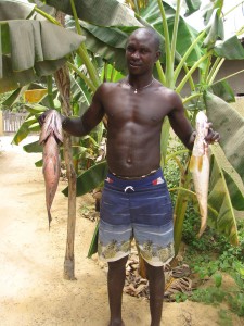Exemple de pêche du jour N°1
